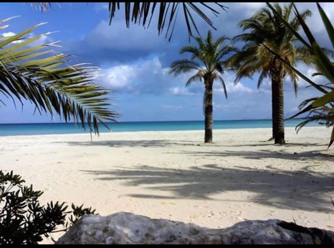 Casa Marietta Daire San Vito Lo Capo Dış mekan fotoğraf